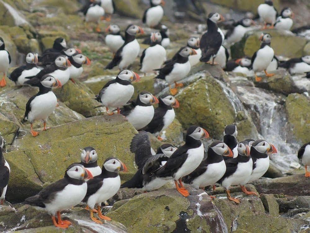 Farne Island Rooms Seahouses Exterior photo